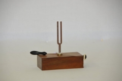 phoca_thumb_l_940_diapason_con_martelletto_fileminimizer